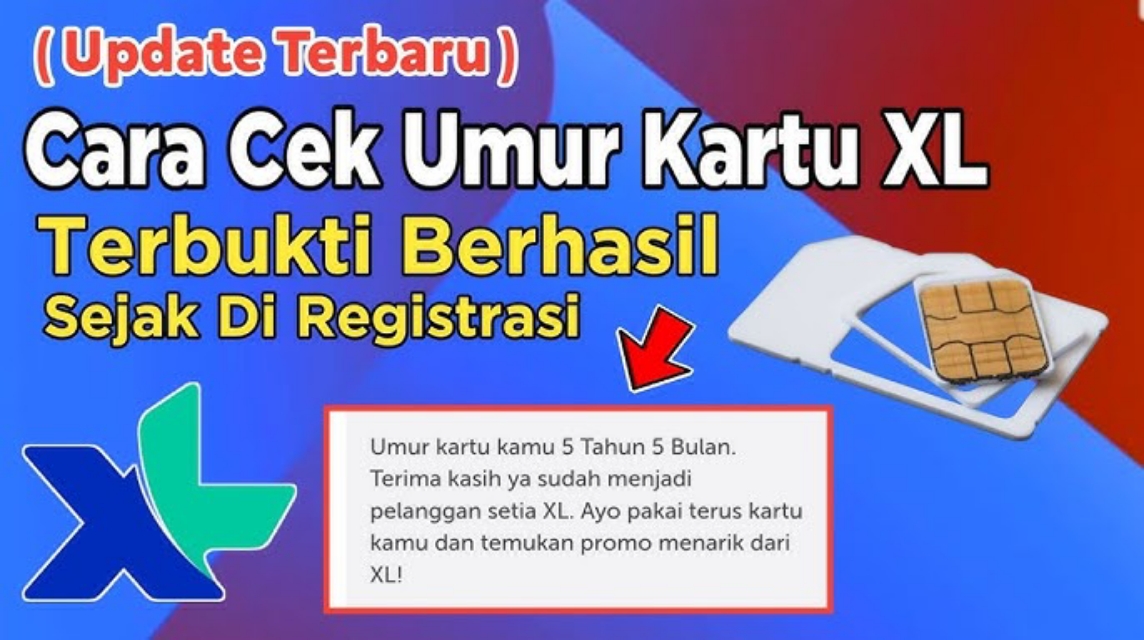 XLカードの有効期限を確認する方法