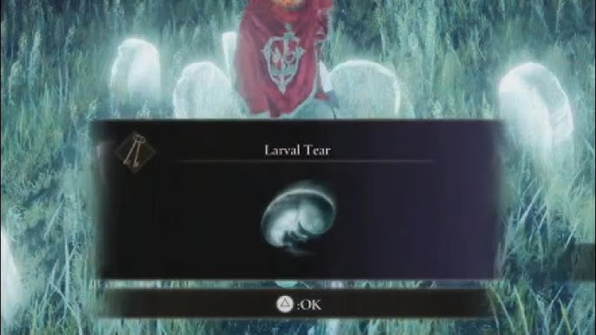 幼虫撕裂的位置