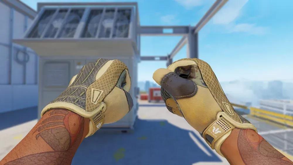 sport gloves | arid