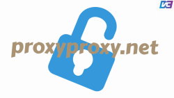 プロキシ経由でサイトへのアクセスを開く方法