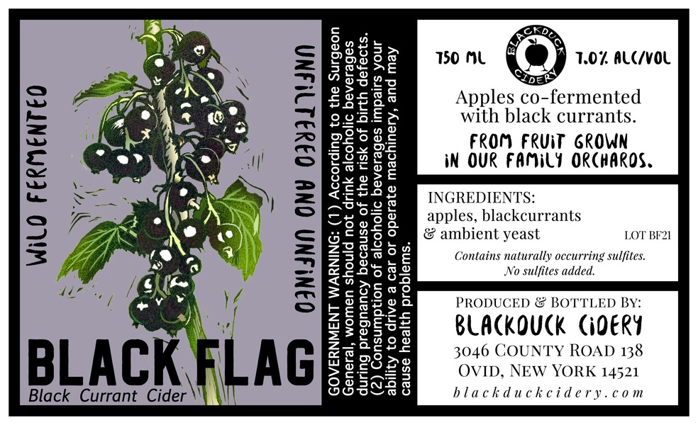 2022 Black Flag Black Currant Cider