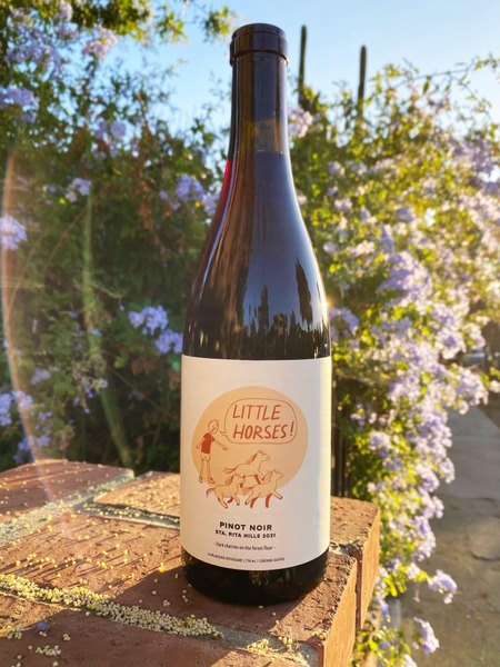 2021 Little Horses Pinot Noir