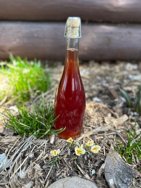 Choke Cherry Cider