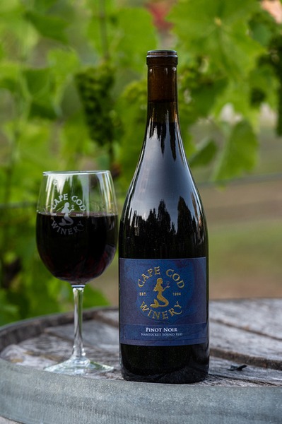 Pinot Noir - Nantucket Sound