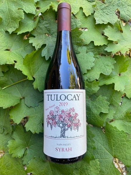 2019 Tulocay Syrah