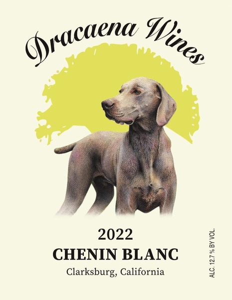 2022 Chenin Blanc 