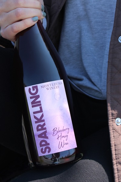 Sparkling Blueberry Honey Wine 