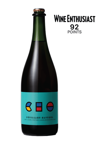 2022 Pétillant-Naturel Pinot Noir