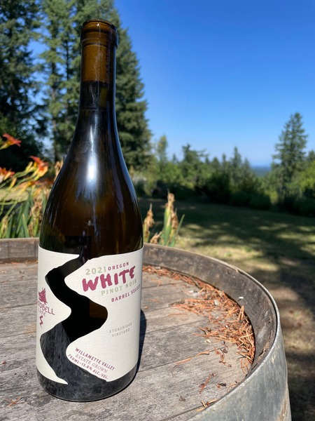 Willamette Valley Vineyard White Pinot Noir 750ml