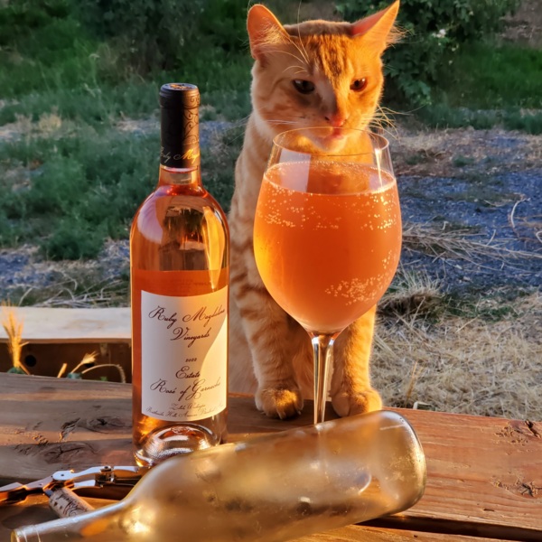 2022 Rosé of Garnacha