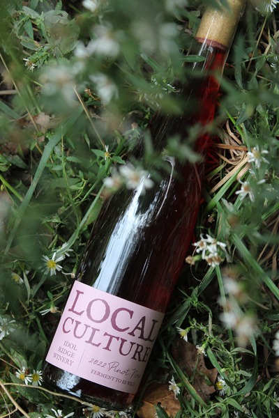 2022 Local Culture Pinot Noir 