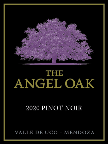 2020 The Angel Oak Pinot Noir Reserva