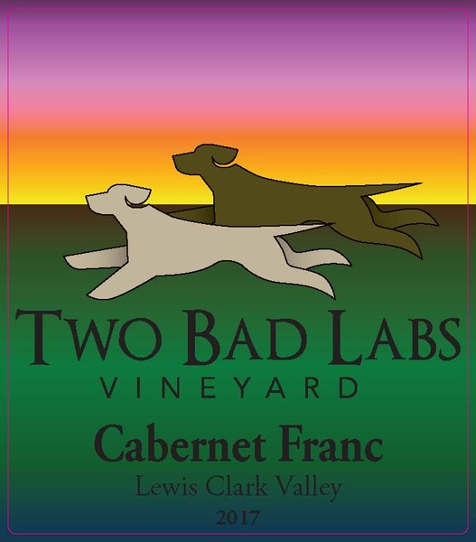 2019 Cabernet Franc- Reserve