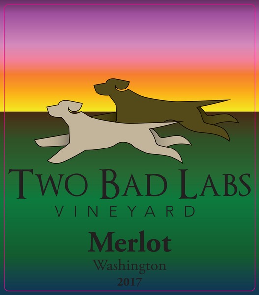 2019 Merlot- Reserve