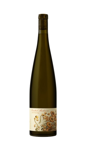 2023 Candied Mushroom Riesling