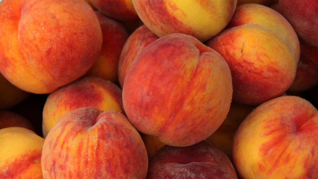 Soliloquy Peach