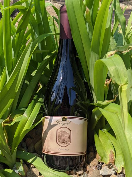 2018 Pinot Noir