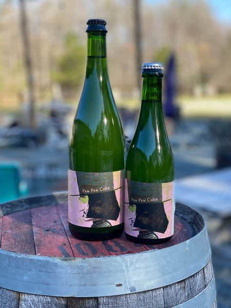 Apple Custard (Paw Paw) Cider