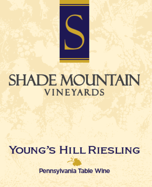 2019 Young's HIll Riesling