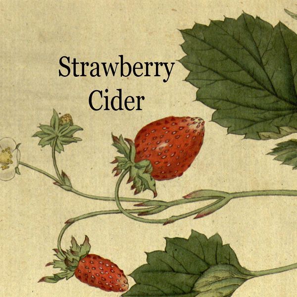 2023 Strawberry Cider 375ml