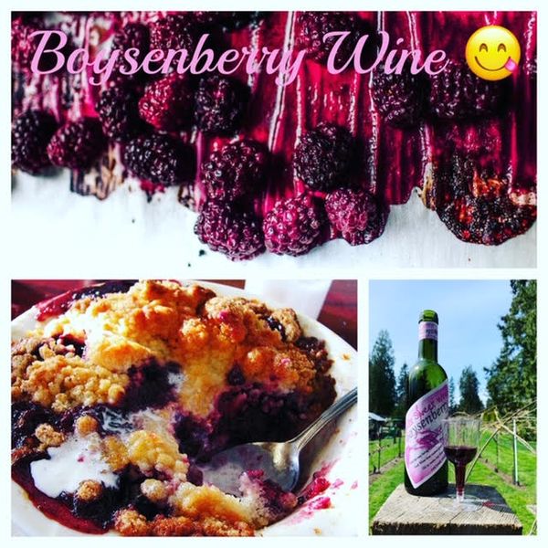 2018 Boysenberry Wine