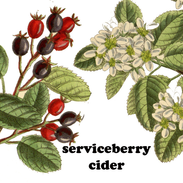 2018 Serviceberry Cider