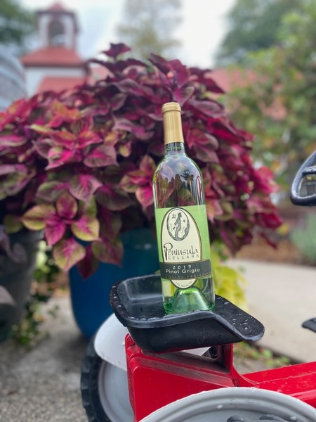 2019 Pinot Grigio