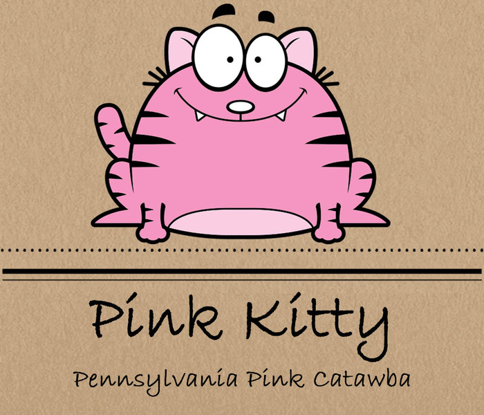 Pink Kitty