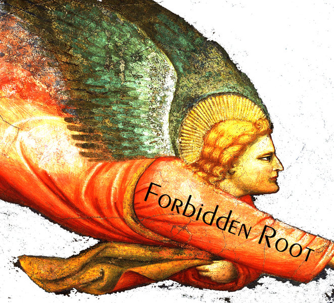 2022 Forbidden Root