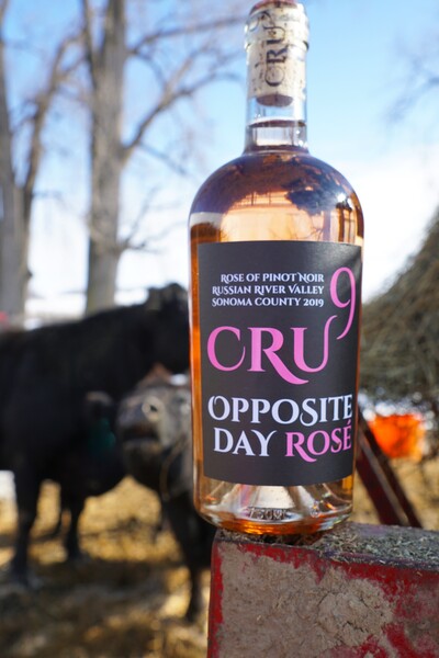 2019 Opposite Day Rose' of RRV Pinot Noir