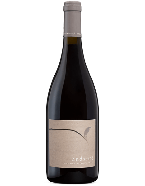 2017 Andante Pinot Noir