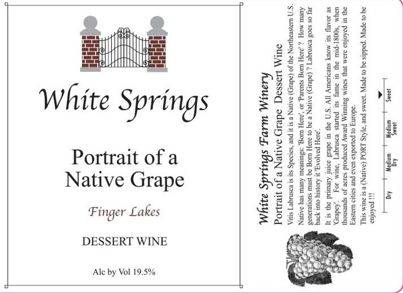 Portrait of a Native Grape