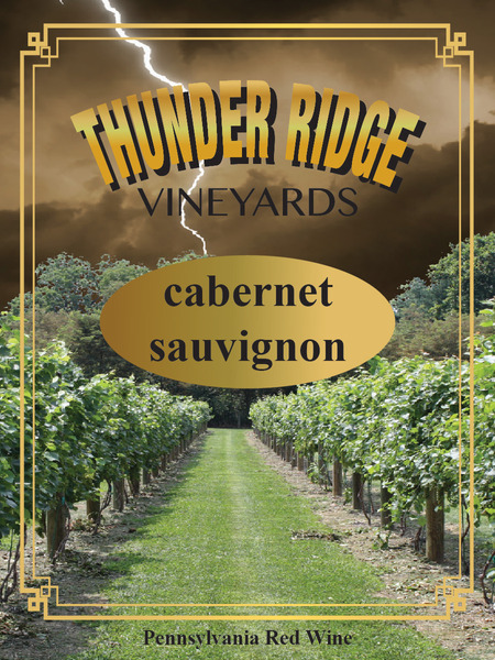 2019 Cabernet Sauvignon (dry)