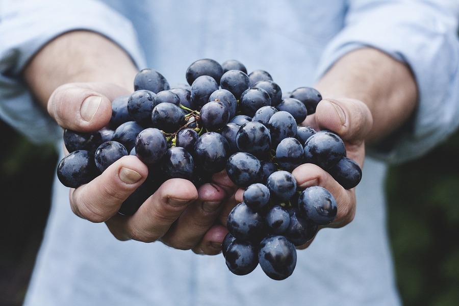 2016 Syrah Graves Vineyard