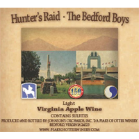 Hunter's Raid - The Bedford Boys