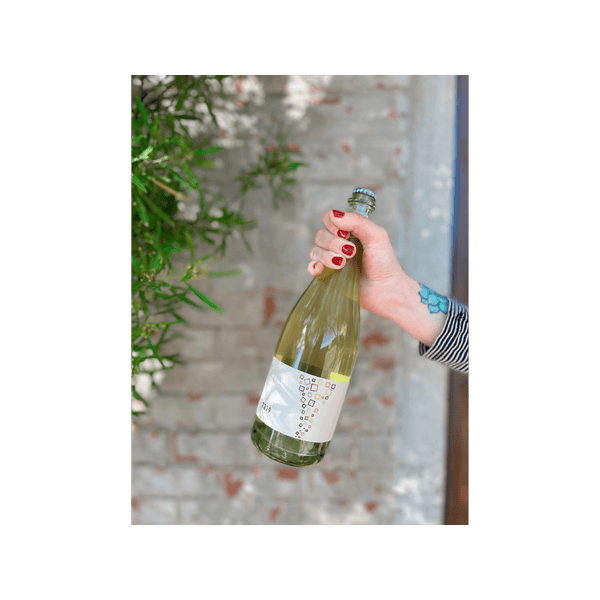 2019 Malvasia Pet-Nat