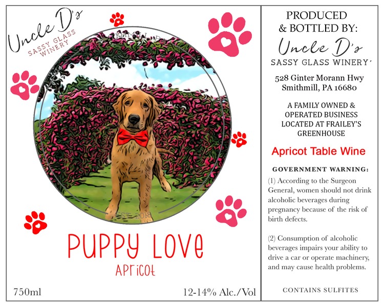 Apricot - Puppy Love