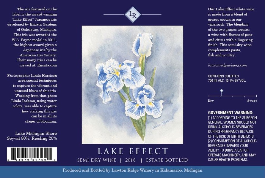 2022 Lake Effect