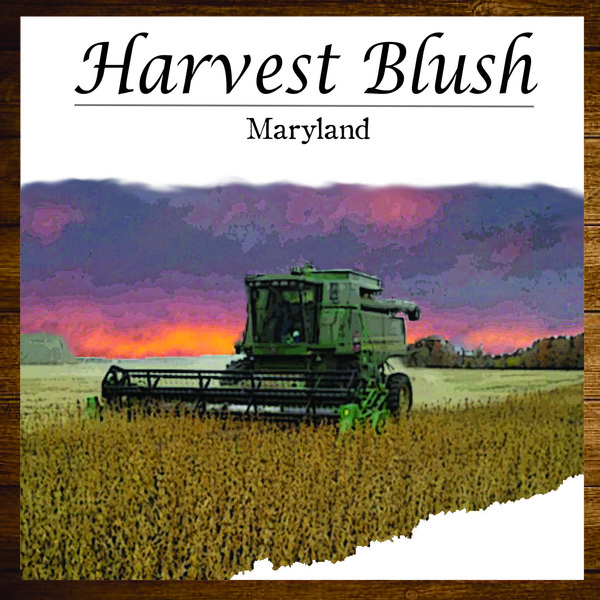 Harvest Blush