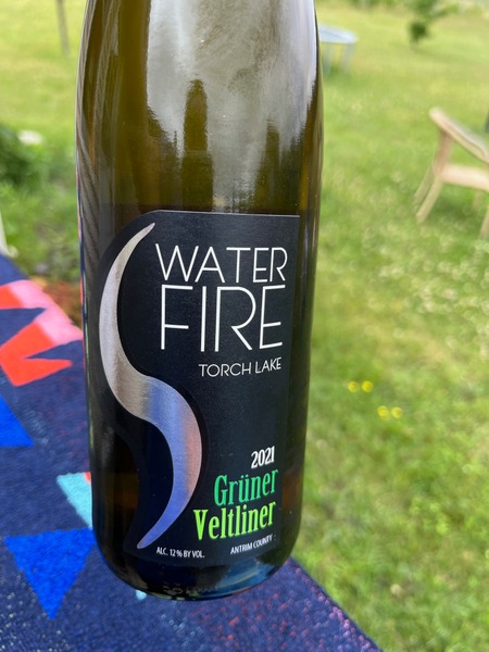 2021 Gruner Veltiner