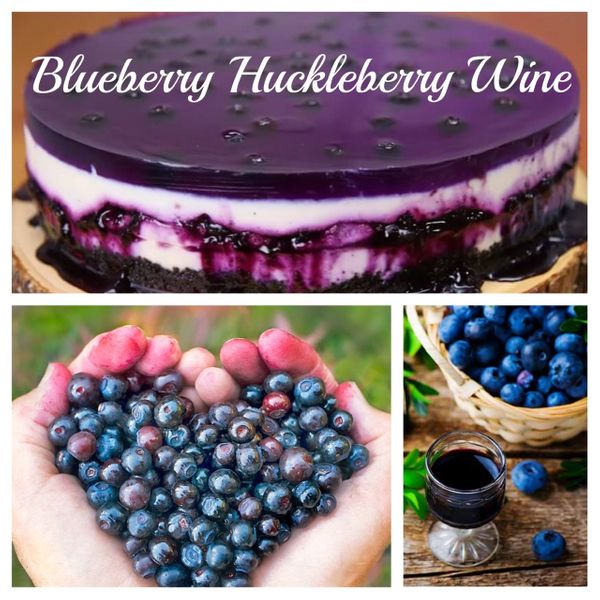 2023 Blueberry Huckleberry 