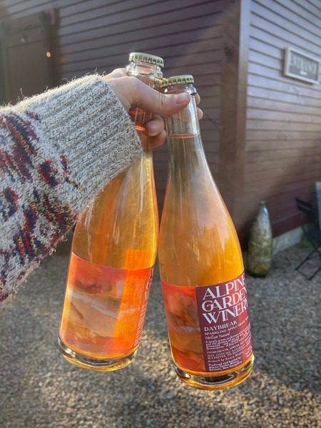 Daybreak Sparkling Apple Grape Wine