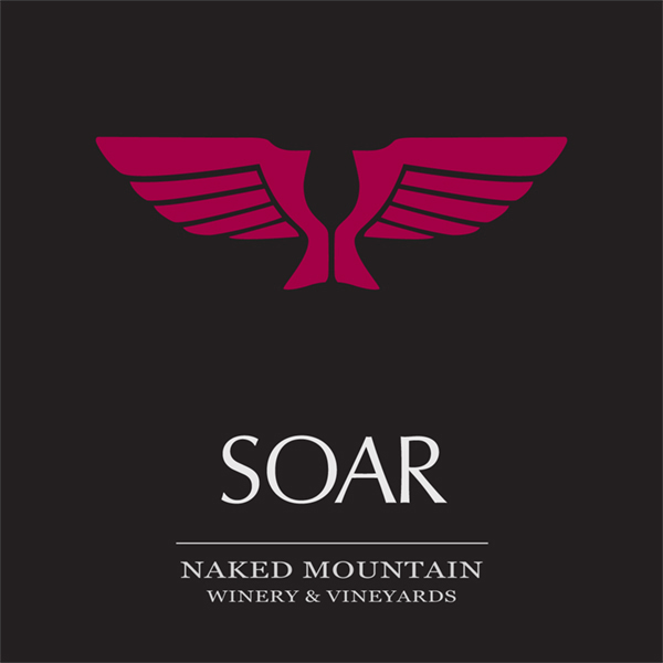 Soar III