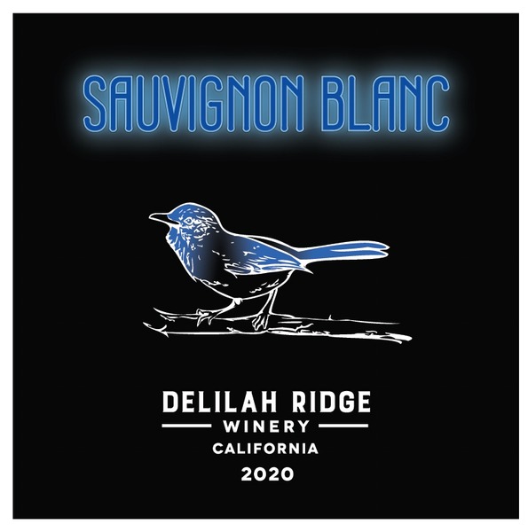 2020 Sauvignon Blanc