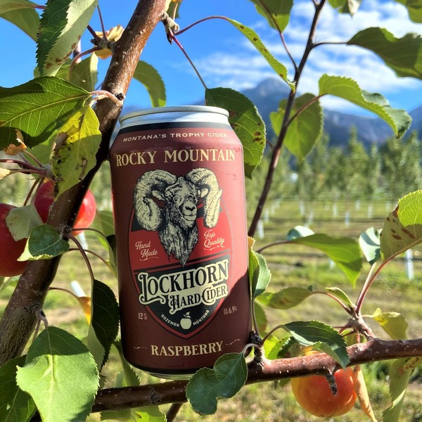 Rocky Mountain Raspberry Cider - 6 pack