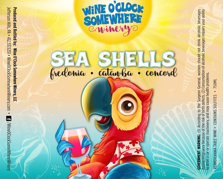 2023 Sea Shells