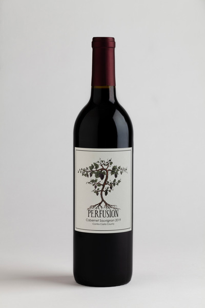 2019 Cabernet Sauvignon