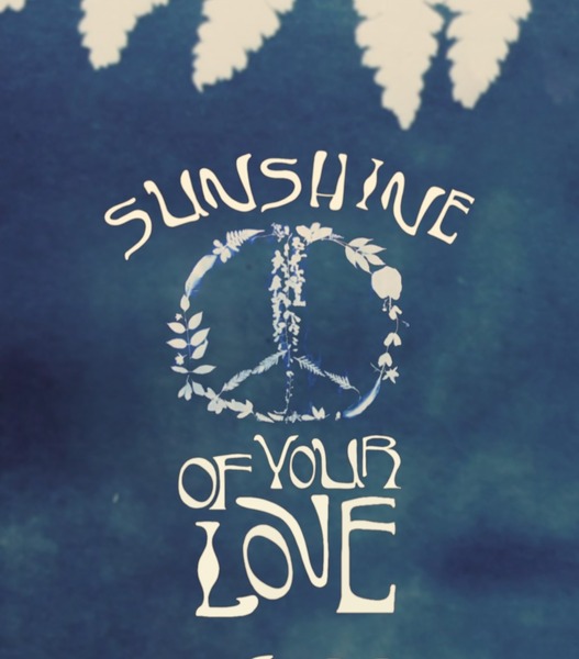 2022 Sunshine of Your Love