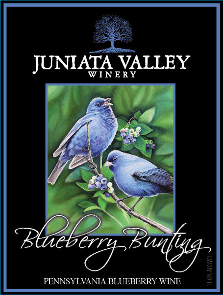  Blueberry Bunting