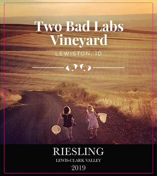 Product Image - 2020 Riesling